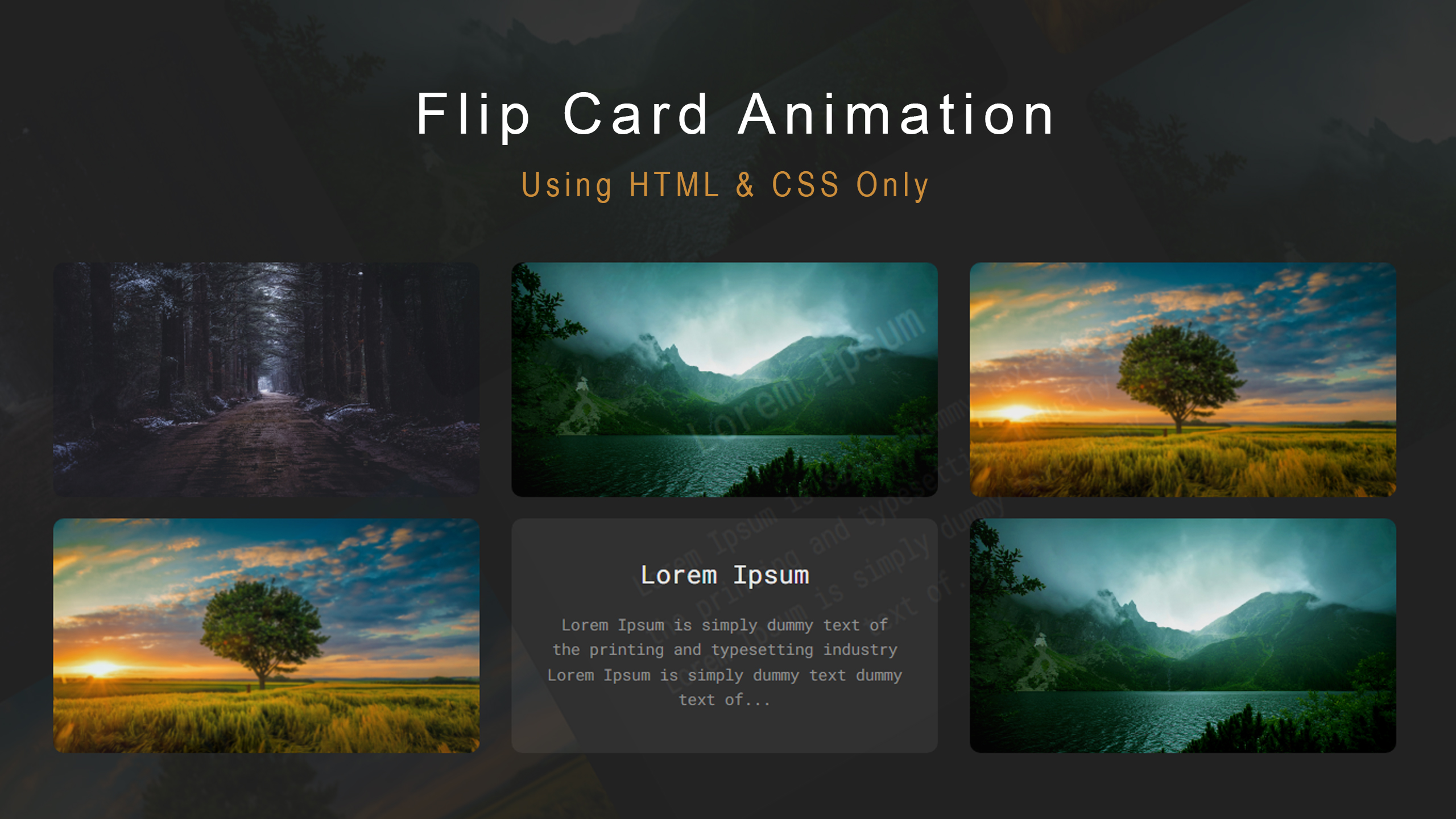 How to Make Flip card Animation Using html & CSS Only - M-SoftTech is a  coding blogs related to HTML CSS JavaScript