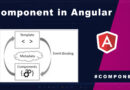 What is a component in Angular | How to work Component